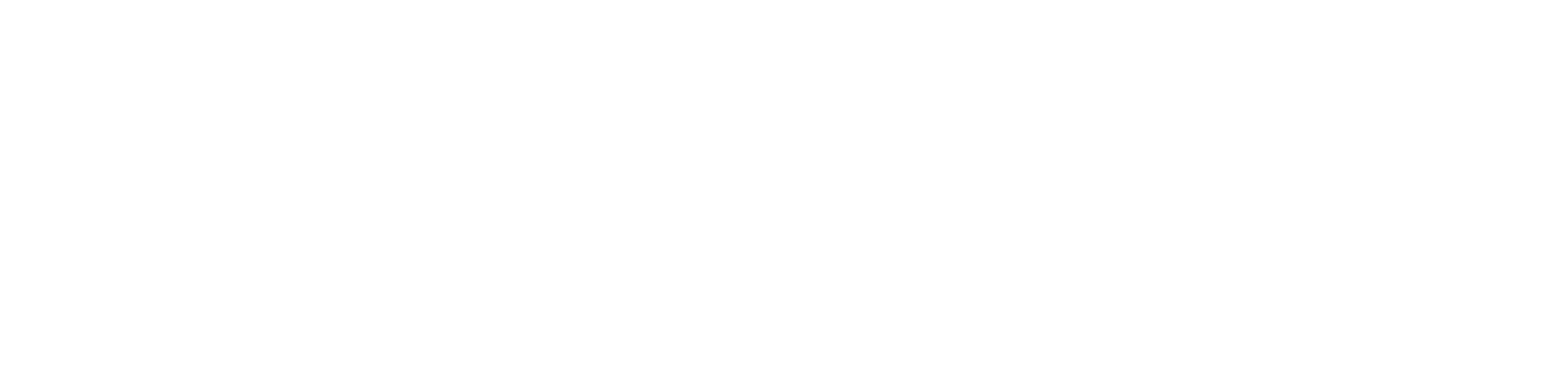 GSG Protective Services